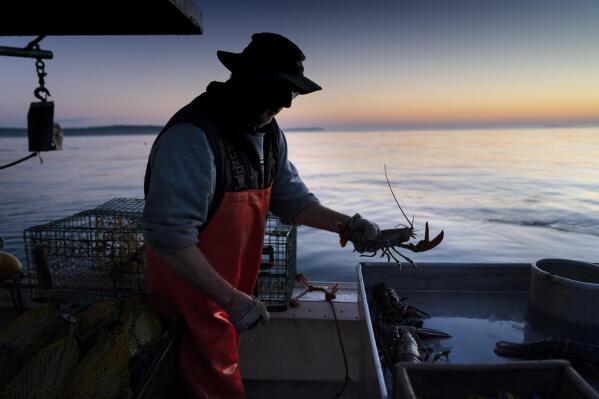 Maine fishing deals